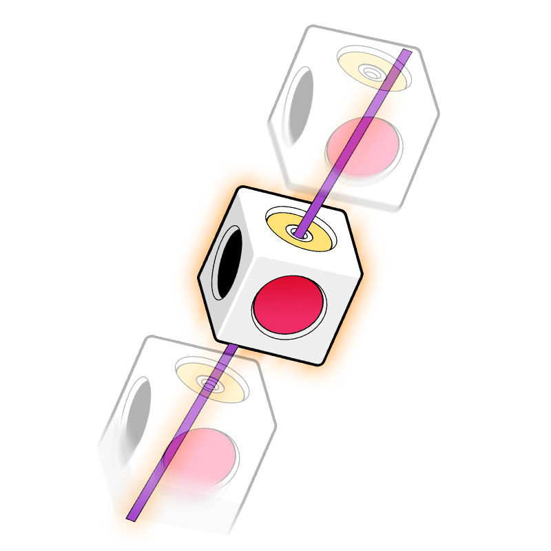 Obedient Cube Learning Safety  - Electronics And Gadgets With Y 리뷰 및 가격